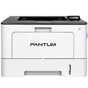 Замена памперса на принтере Pantum P3308DW в Санкт-Петербурге